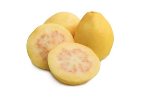 Charlotte De Castille Exclusive Porn Videos