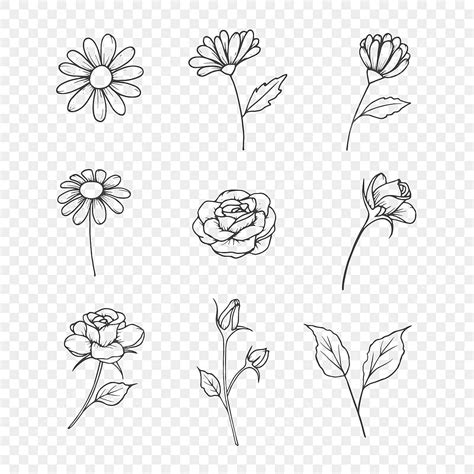 Rochelle Wallace: Hand Drawn Flowers Svg - Pin By Spellman Stitching On ...