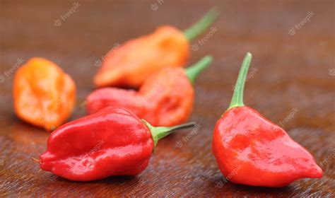 Premium Photo | Bhut jolokia chili peppers or the naga morich of bangladesh