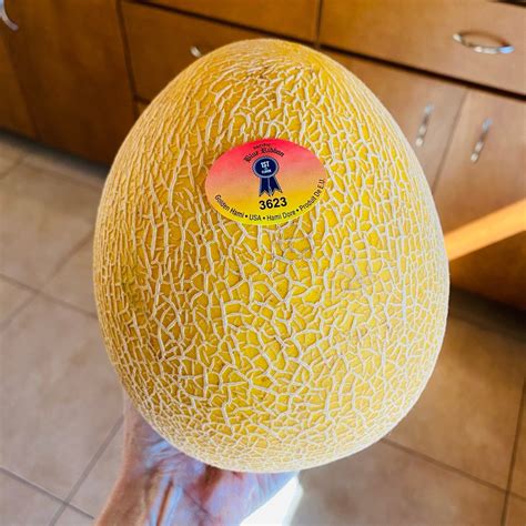 Golden Hami Melon from Pacific Blue Ribbon - Vegan Product Reviews ...