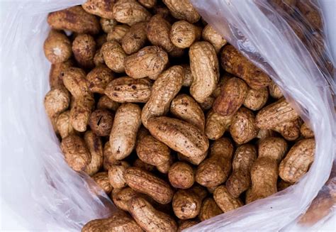 Freezing Boiled Peanuts – Can You Do It?