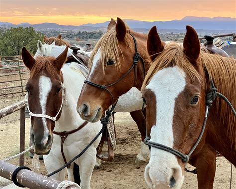 Sedona Horseback Trail Rides | Horse Riding Arizona