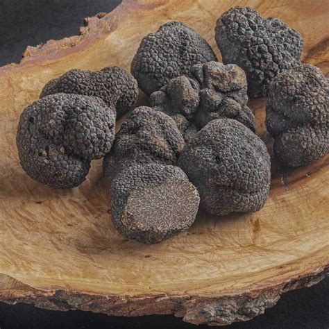 Melanosporum Black Truffle