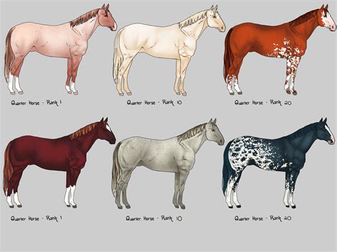 Quarter Horse Colors And Markings The History Of The American Quarter