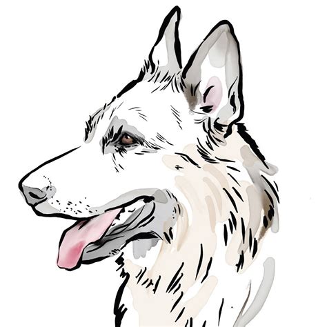 German Shepherd Dog Drawing at PaintingValley.com | Explore collection ...