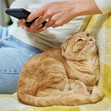 Veterinarian & Animal Hospital in Harrisonburg, VA | Ashby Animal Clinic