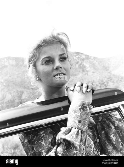 C.C. AND COMPANY, Ann-Margret, 1970 Stock Photo - Alamy