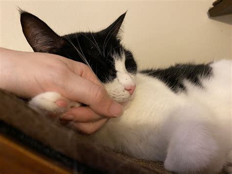 Kampbell — A Sanctuary Cafe