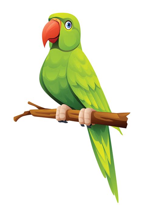 Parrot Color Background