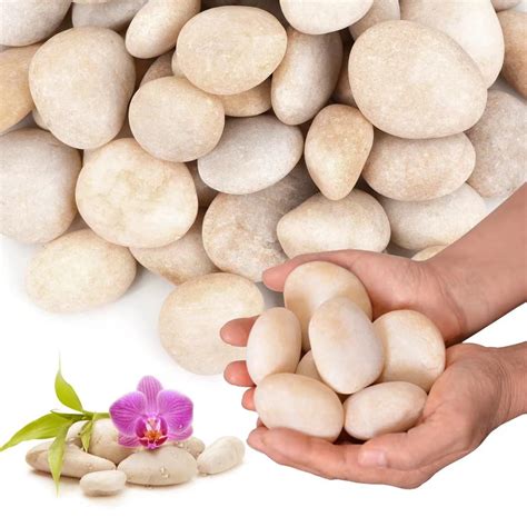 Amazon.com: Lechloris 10lb Cream White River Rocks Outdoor Landscaping ...