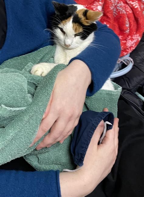 63 days ago I posted about treasuring the last days with my 16 year old ...