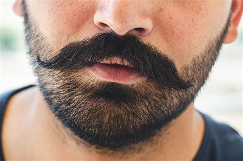 Top 15 Best Stubble Beard Styles for Men: From Classic to Modern | The ...