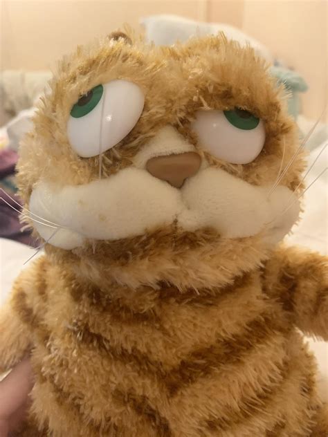 Repainted my ugly garfies eyes (affectionately) : r/garfield