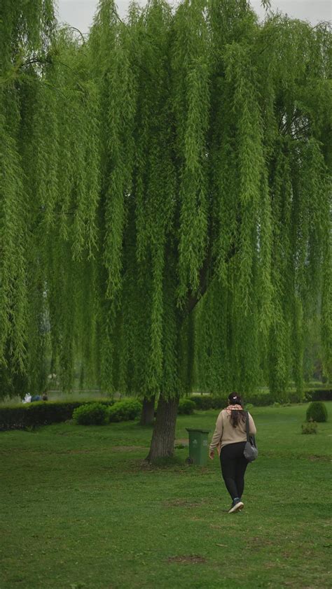 Full+Sexy+Video Videos, Download The BEST Free 4k Stock Video Footage ...