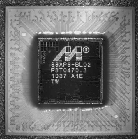 Bunni Emmi: The Untold Story - Truth or Fiction