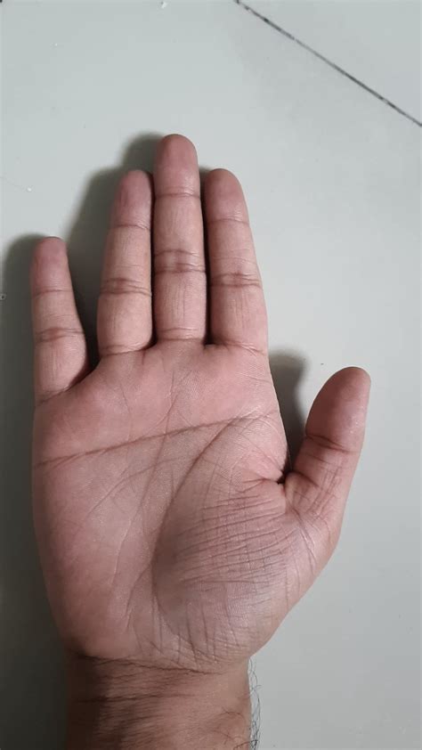 Curious about interpretations on a double simian line/single palmar ...