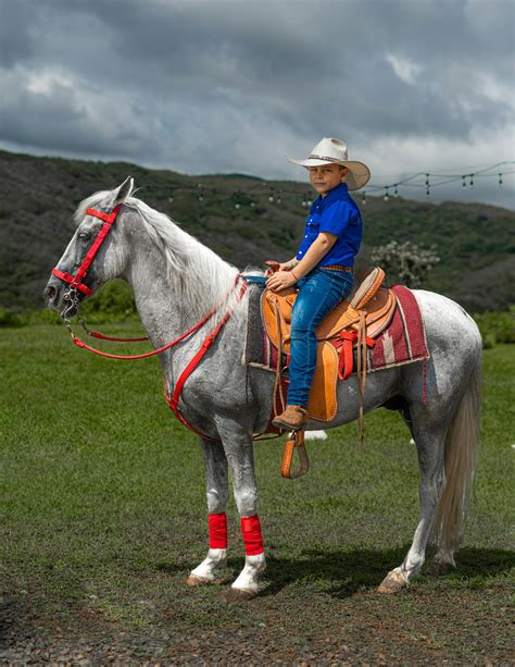 Boy Sitting Naked On A Horse Photos, Download The BEST Free Boy Sitting ...