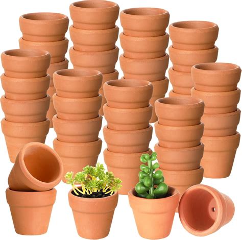 Gerrii 50 Pcs Mini 1. 2 Inch Terracotta Pots Bulk Small Clay Tiny ...