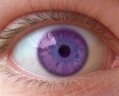 Purple Eye