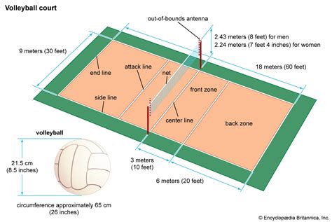 Volleyball Rules Explained: A step-by-step guide [2026]