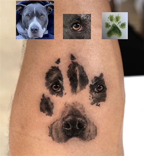 Dog Nose Print