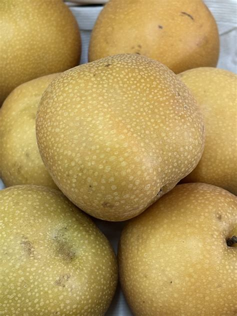 Asian Apple Pear p/LB - How Sweet It Is