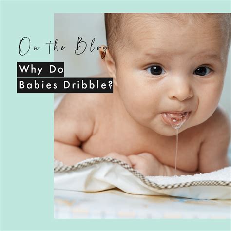 Why Do Babies Dribble? – Zoesage