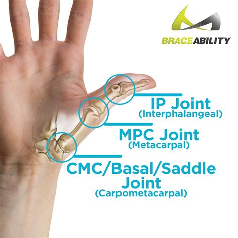 Hard Plastic Thumb Brace | Arthritis Splint & Basal Joint Immobilizer