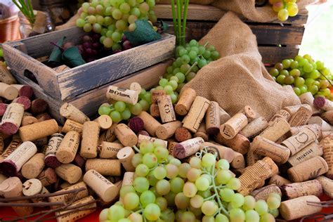 Wine in the Woods | Howard County