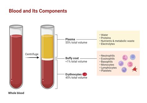 Plasma proteins – A Comprehensive Review – My Endo Consult