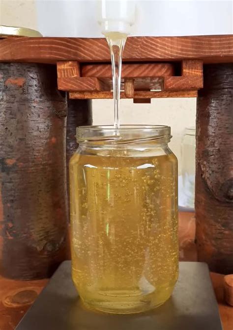 Germany Hit By Harsh Honey Price Hike