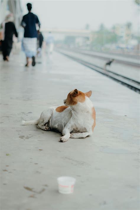 Panties+Down+And+Bend+Over Photos, Download The BEST Free Panties+Down ...