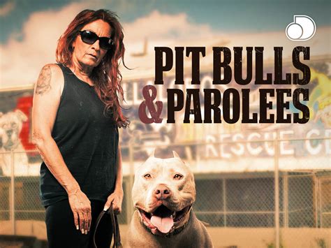 Prime Video: Pit Bulls & Parolees - Season 12
