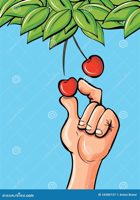 Cartoon Hand Picking a Cherry Stock Illustration - Illustration of leaf ...