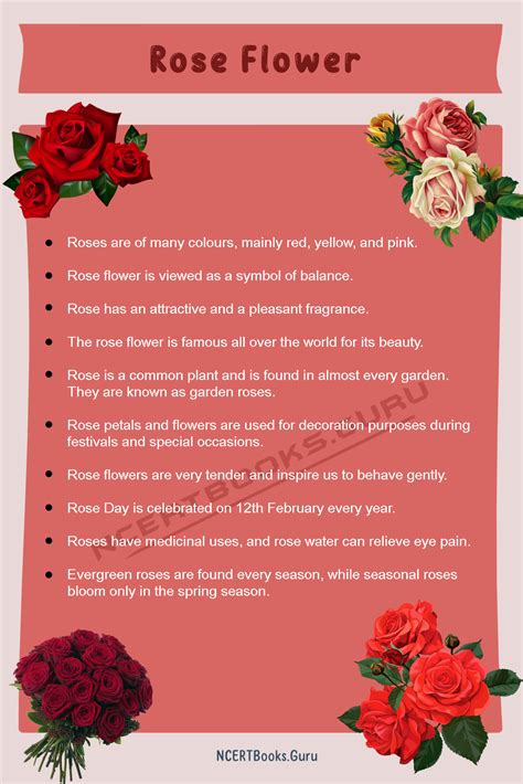 Red Rose Facts at Sean Freeleagus blog