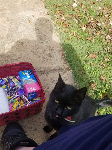 Old Man Jack, a 22 year old Semi-Feral wants to give his opinion on my ...