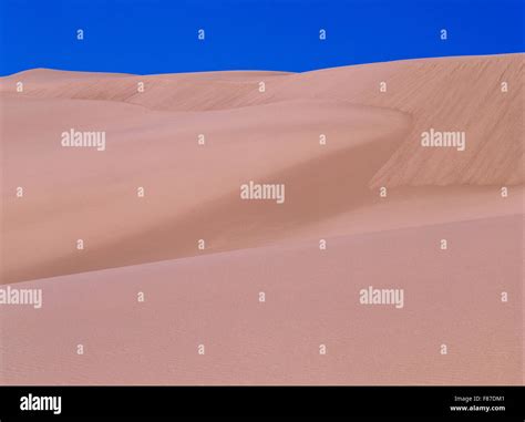 saint anthony sand dunes near rexburg, idaho Stock Photo - Alamy