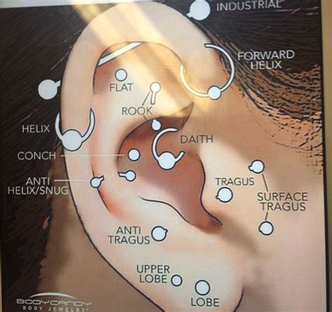 Ear Piercing Template