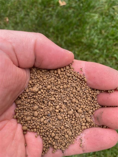 Lime For Lawns (What Is Lime And When Is The Best Time To Apply?) Lawn Phix