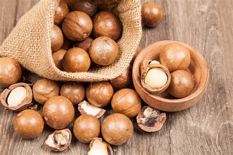 Macadamia Nut Benefits