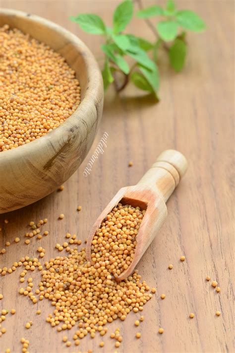 Advantages Of Mustard Seeds