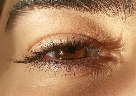 Brown Eyes In Spanish Google Translate at Samuel Moysey blog