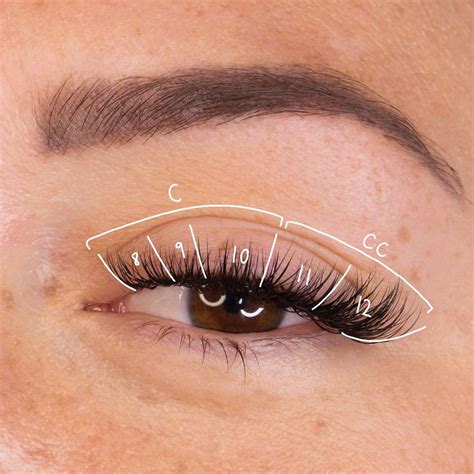 Cat-eye Lash Mapping | Lashes fake eyelashes, Cat eye lash, Lashes