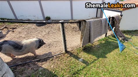 fun_maylee / mayleefun Leaked Nude OnlyFans (Photo 68) - ShemaleLeaks!