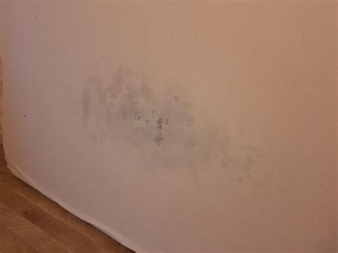 Mold on Mattress Floor : r/CleaningTips