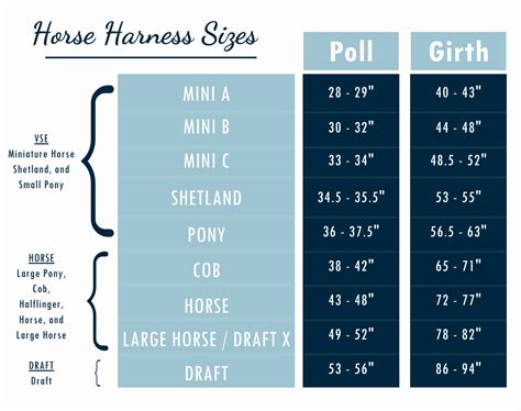 How To Measure For A Girth English Horse at Kathleen Dekker blog