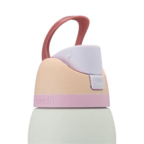 Owala FreeSip Insulated Water Bottle 946mL (32oz) Coastal Mist ...