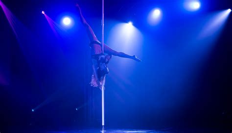 Pole Dancing Pole for Home - THEPOLE
