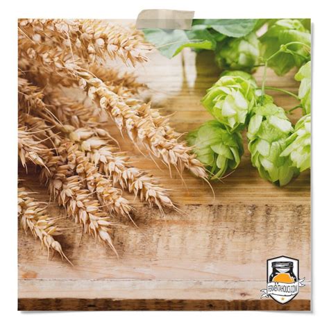 IBU in Beer: Use The Recognized Tool Your Beer Brewing Experience