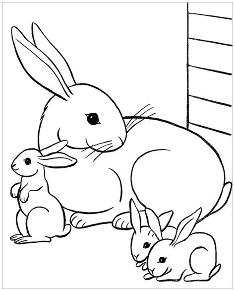 Rabbit & bunnies coloring page for kids - Rabbit & Bunny Coloring Pages